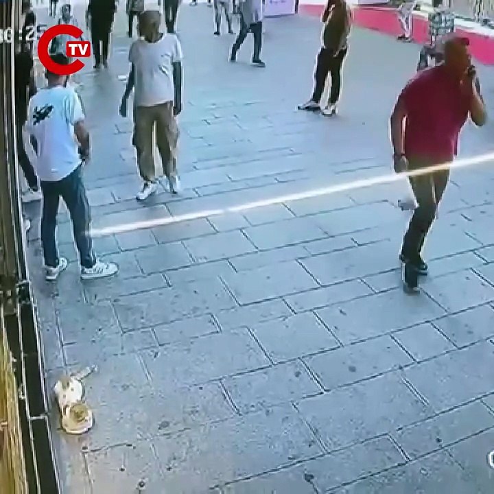 Fatih’te esnafın maskotu 'Muhtar' isimli kedi, sahipli köpeğe saldırdı