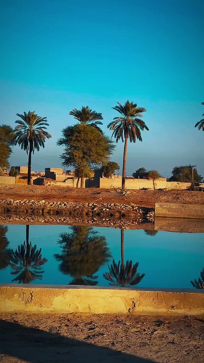 My Village ❤ Beautiful View     #maxrecords #villagelife #larkana #sindh #pakistan