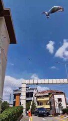 Kocaeli'de orman yangınına havadan ve karadan müdahale