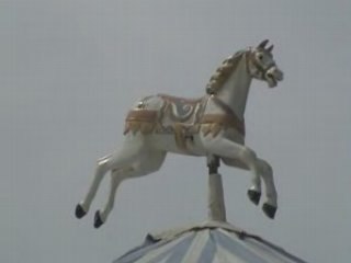HIPPOCAMPUS