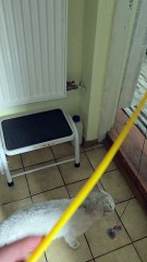 Nanuk i Tobiś 1
