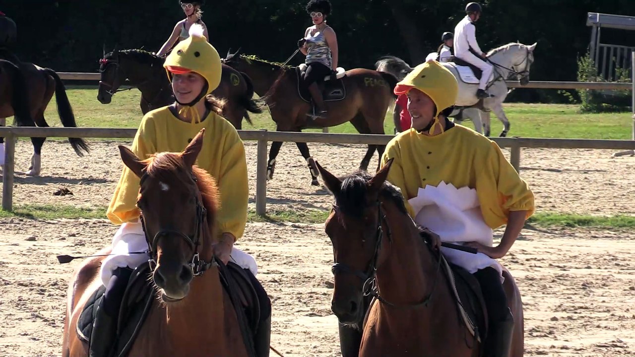 ILE BRAGARD 29-07-2017 Amateur 3 Spéciale au chrono (1 m)07