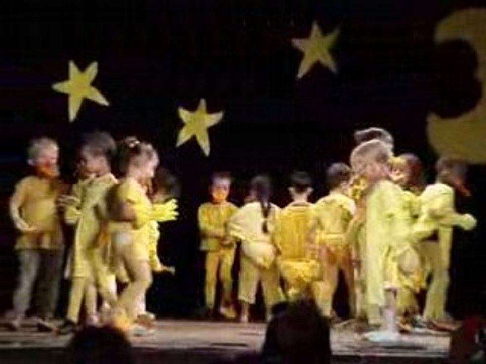 Danse_canards2