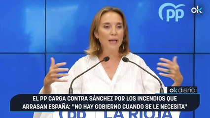 El PP carga contra Sánchez por los incendios que arrasan España: "No hay Gobierno cuando se le necesita"