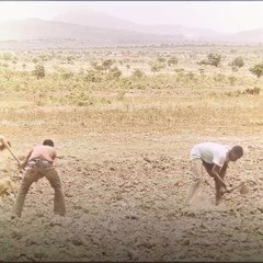 Knowledge is power! The Boy Who Harnessed the Wind #shorts #edit
