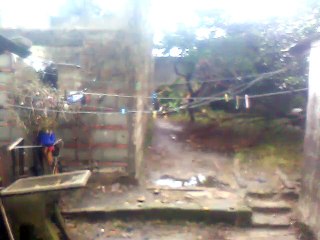 Algo de lluvia y viento en el patio de alguna casa de Tacuarembó (19/08/2025) 15:00:53