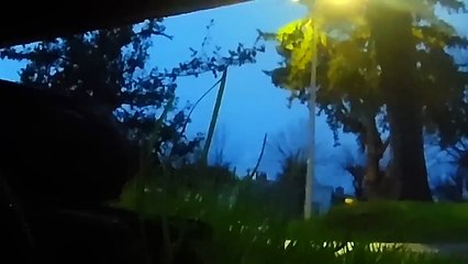 Amaneciendo un día de lluvia en el Bulevar - Tacuarembó (19/08/2025)