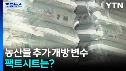 한미 정상회담, 농산물 추가 개방 변수...팩트시트 나오나? / YTN