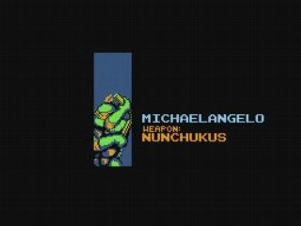 Teenage Mutant Hero Turtles 1