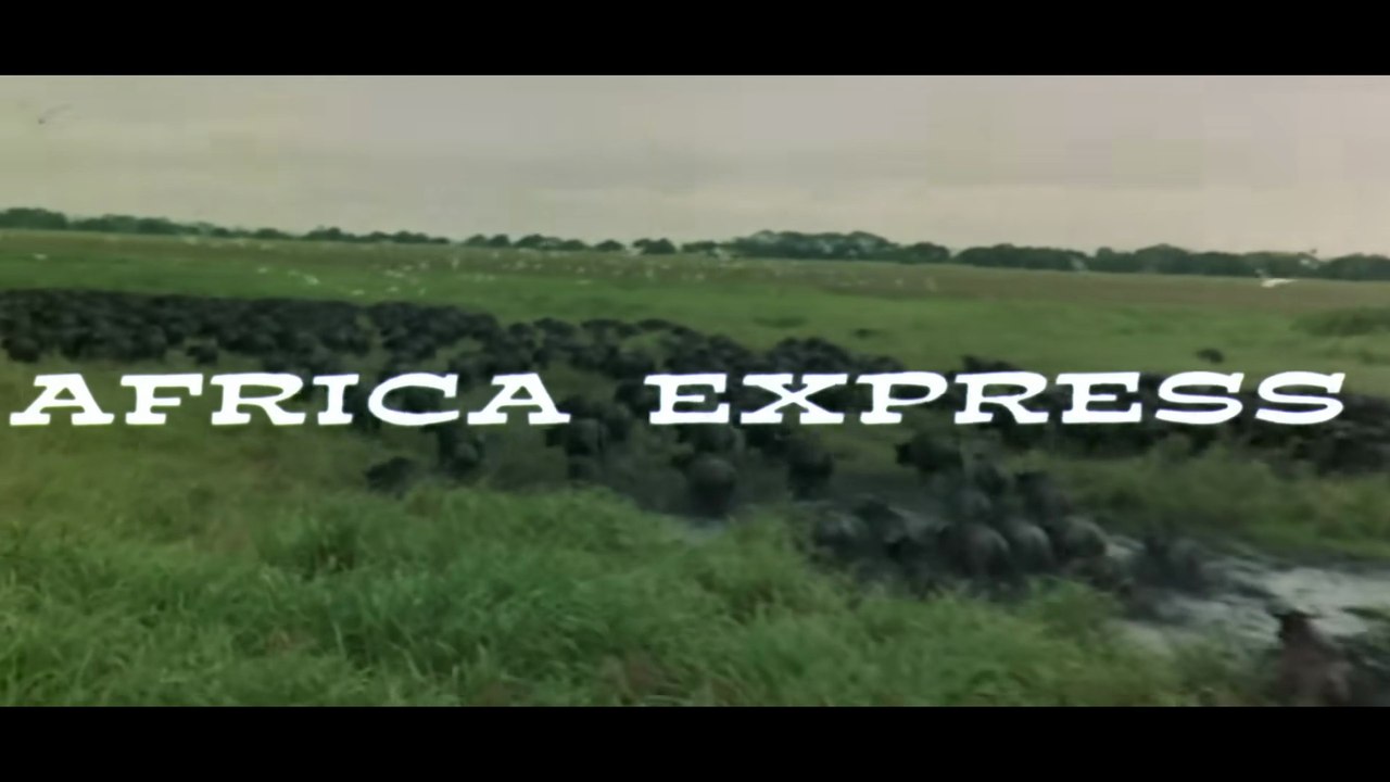 Africa Express 1975 - Adventure Comedy Crime Full Movie