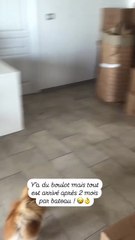 Story Instagram de Virgilia Hess datant du vendredi 22 août 2025.