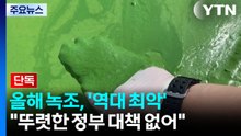 [단독] 올해 녹조, '역대 최악' 작년보다 심각...대책은 연말에? / YTN