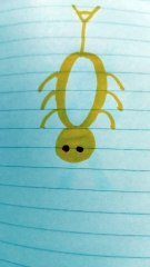 Ragno giallo e bianco  disegno