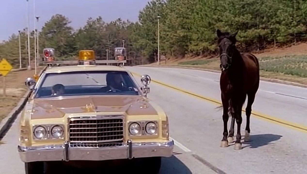 Uno Sceriffo Extraterrestre Poco Extra E Molto Terrestre (Bud Spencer )