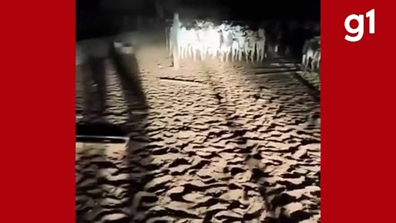 Funcionários de fazenda são presos suspeitos de furtar gado em Rondonópolis (MT)
