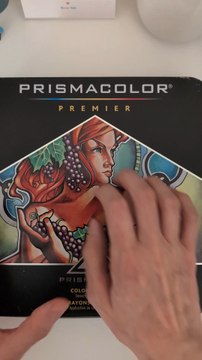 I suggest you create a color code chart. It makes it easy for you to know the name of the color, code number, and it looks like. This will also help you pick what colors when you make your illustrations or when it's time to refill your colored pencils.