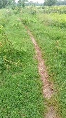 greeny village raining season