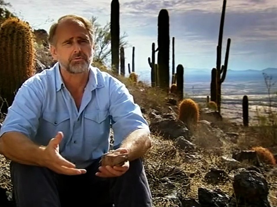 Saturn Lord of the Rings