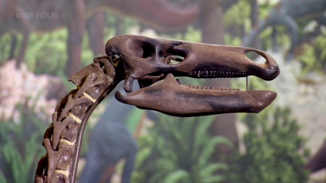 Dinosaurs Myths and Monsters