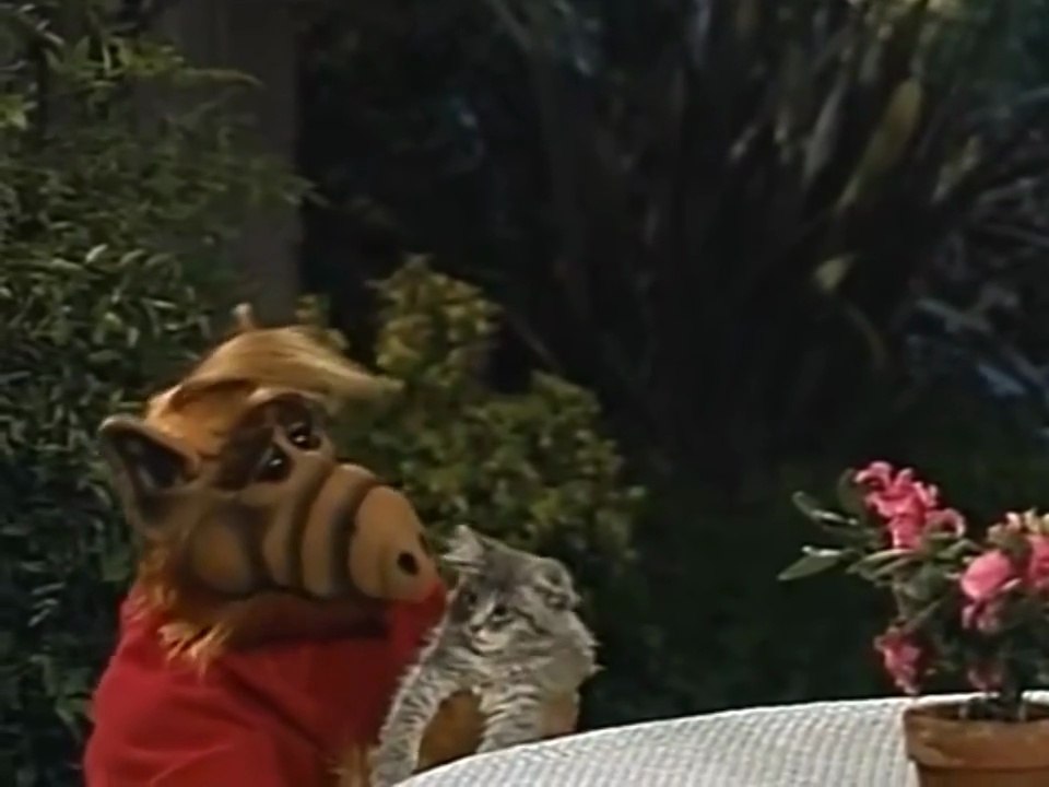 ALF Staffel 4 Folge 9 'Alles für die Katz' #Deutsch