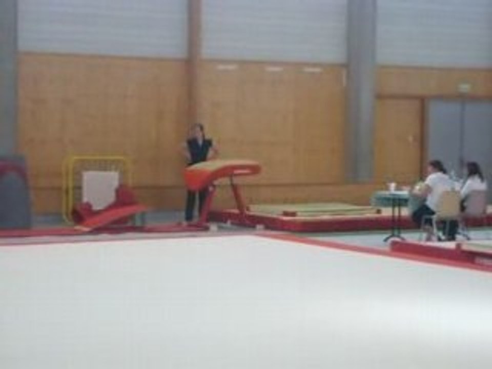 Saut MAELLE