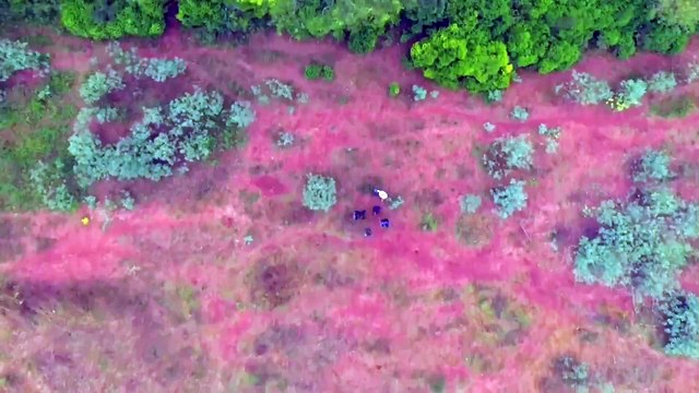 Crash d’OVNI en Argentine le gouvernement a-t-il menti Contact