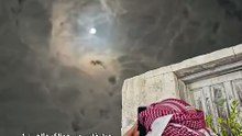 انا ثعبان