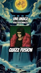 Quizz fusion - une images, deux personnages !