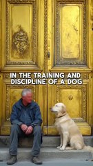 The Dog’s Discipline_ A Surprising Path Back to Allah ﷻ