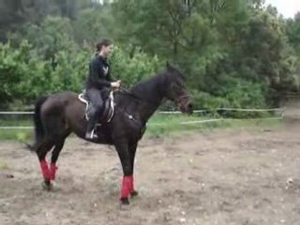 mon cheval ki cabre 2