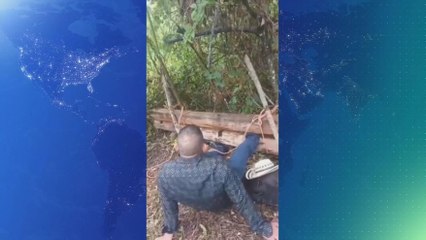 Castigo del cepo: Ordenan detención provisional a tres personas por agresión contra cacique de Nedrini