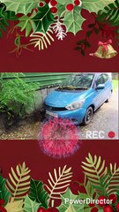 Perfect for thrill-seekers and urban explorers!  #Viral #Trending #AdventureTime #SpookySzn