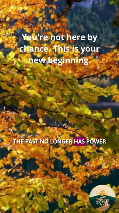 The Day You Decide to Start Over | A Message of Hope
