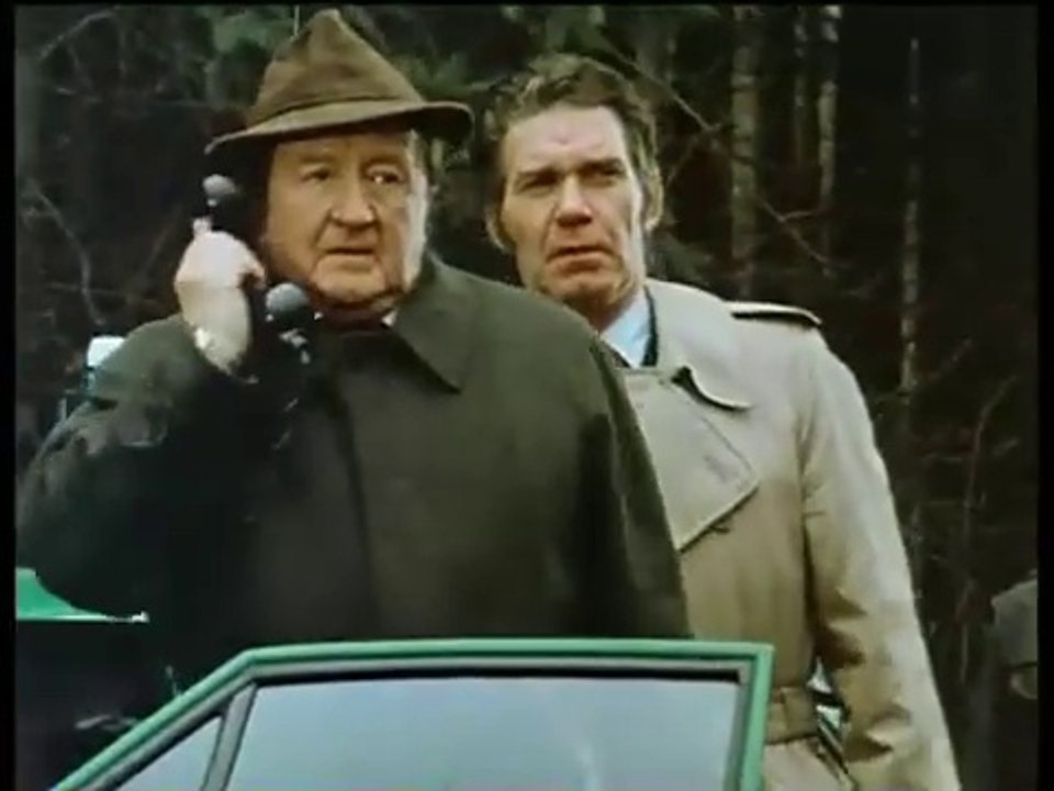 Der Alte - Hauptkommissar Köster - Folge 52 - Der Zigeuner