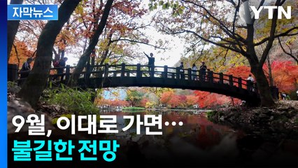 [자막뉴스] "가능성 최고 60%"...기상청의 올해 가을 전망 / YTN