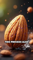 Unlock the Power of Soaked Almonds 💚 #dailymotion 💛 @official7usi ❤️
