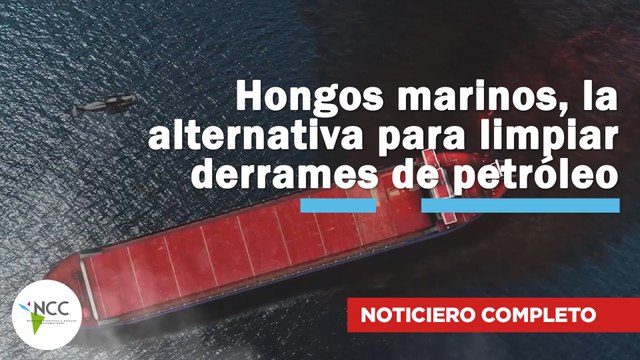 Hongos marinos, la alternativa para limpiar derrames de petróleo | 788 | 25 al 31 de agosto 2025