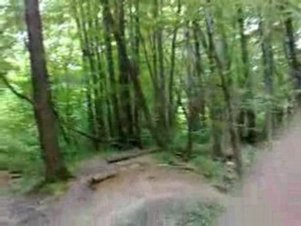 velo4