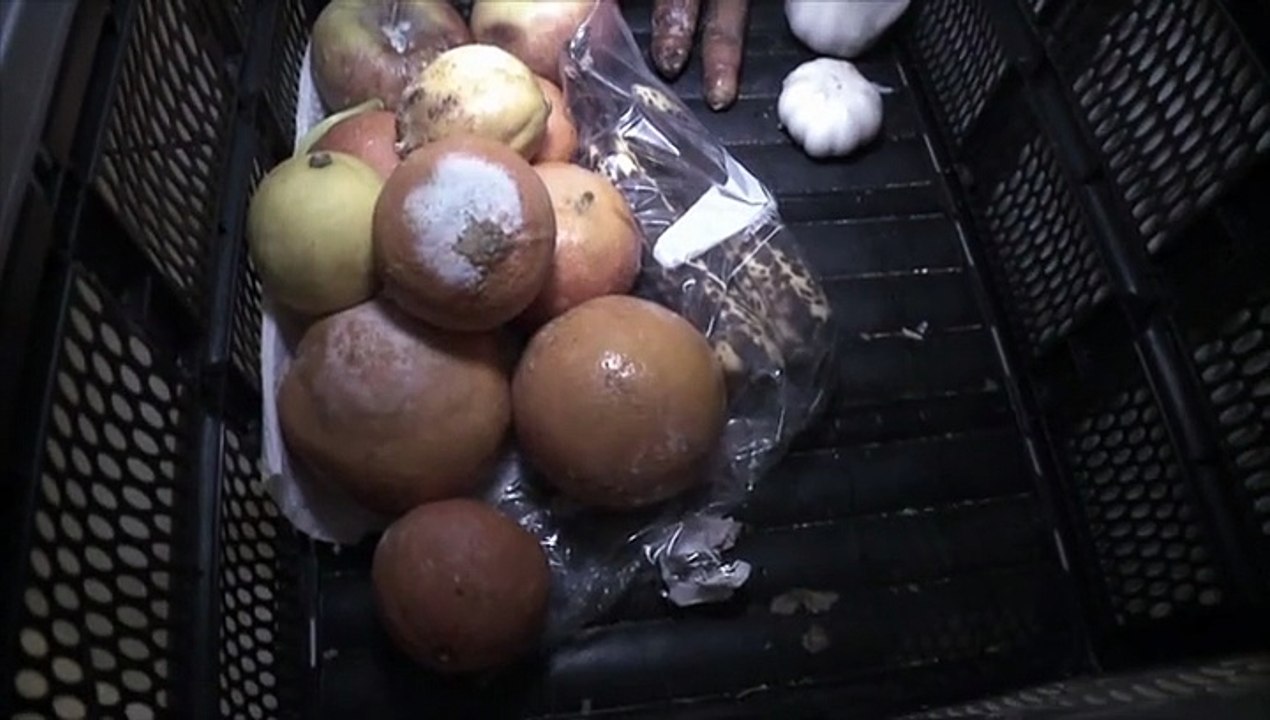 Die Präsenz - deutsch