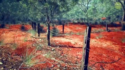 Pourquoi l'Australie a construit une clôture plus longue que la Grande Muraille