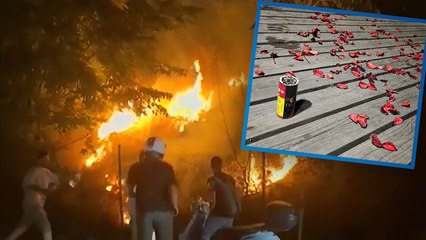 Meşaleli kutlama otluk alanı yaktı