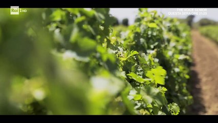 Linea Verde Radici - Sardegna provincia di Oristano (2021)