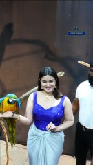 മക്കാവു പാരറ്റിനെ കയ്യിൽ എടുത്ത് ഹണി റോസ് Honey Rose holding a Macaw Parrot in her handപത്തനംതിട്ട നഗരത്തിലെ ശബരിമല ഇട താവളത്തിൽ നടക്കുന്ന Marine under water Tunnel expo ഉൽഘാടനത്തിന് എത്തിയ ചലച്ചിത്ര താരം ഹണി റോസ് മക്കാവോ തത്തയെ കയ്യിൽ എടുത്തപ്പോൾ