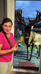 Everyday, this gentle deer waits patiently at her doorstep, knowing his kind friend will share a little love and a tasty treat. 🦌💕