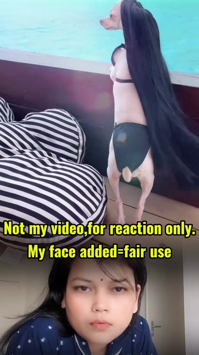 Funny dog🤣
