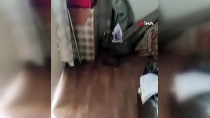 Ailelerinden kalan mirasta anlaşamayıp evi köstebek yuvasına çevirdiler!