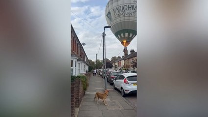 Moment hot air balloon lands on street in front of stunned residents