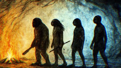 Why We Won: The Real Reasons Homo Sapiens Outlasted Everyone Else