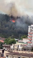 İzmit'te büyük yangın!