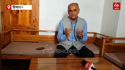 शिमला में स्ट्रीट डॉग्स को मिलेगी 'DIGITAL पहचान', गले में लटका होगा QR कोड और GPS ट्रैकर